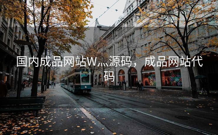 国内成品网站W灬源码，成品网站代码
