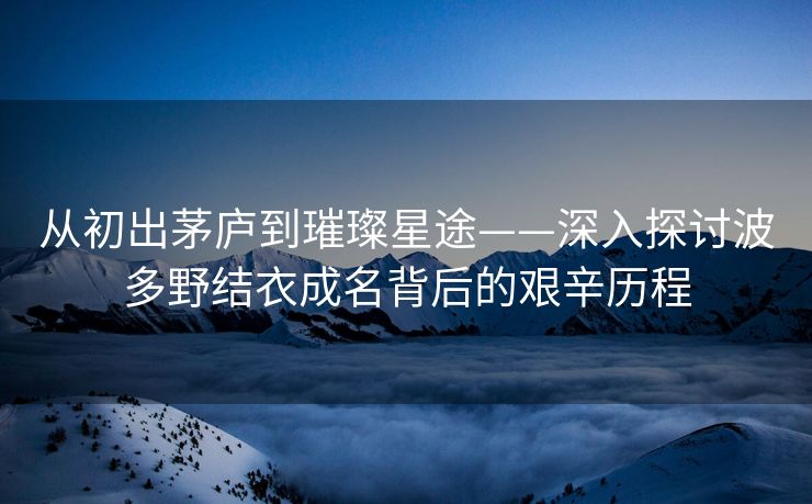 从初出茅庐到璀璨星途——深入探讨波多野结衣成名背后的艰辛历程