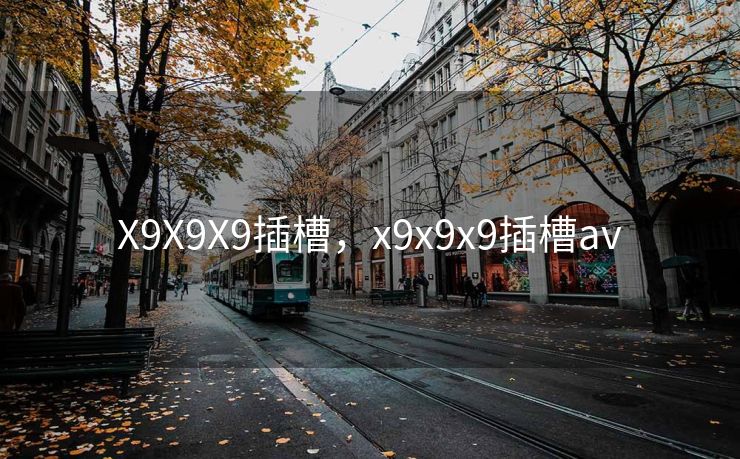 X9X9X9插槽，x9x9x9插槽av