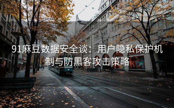 91麻豆数据安全谈：用户隐私保护机制与防黑客攻击策略