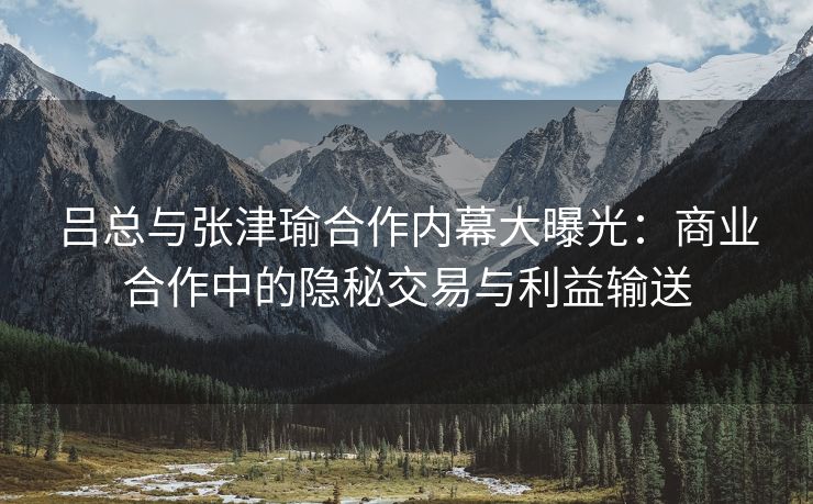 吕总与张津瑜合作内幕大曝光：商业合作中的隐秘交易与利益输送
