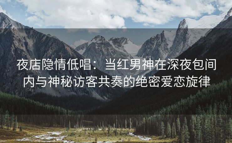 夜店隐情低唱：当红男神在深夜包间内与神秘访客共奏的绝密爱恋旋律