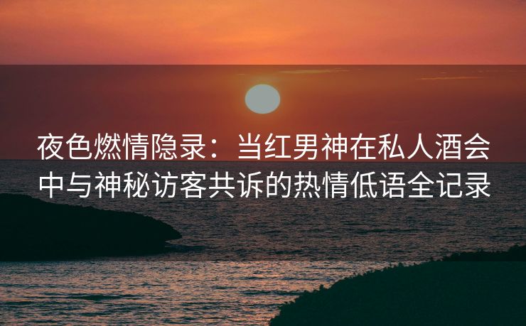夜色燃情隐录：当红男神在私人酒会中与神秘访客共诉的热情低语全记录